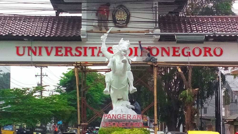 Daya Tampung Dan Peminat UNDIP