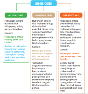 Kunci Jawaban Tema 5 Subtema 2 PB 5 Kelas 5