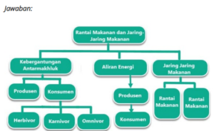 Kunci Jawaban Tema 5 Subtema 3 PB 1 Kelas 5