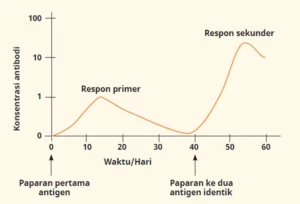 Jawaban Biologi SMA Kelas XI Aktivitas 5.8