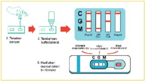 Jawaban Biologi SMA Kelas XI Aktivitas 5.9