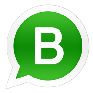 whatsapp transparent 12