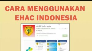 Cara Mengisi E-Hac