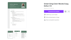 Canva, Apk Mudah Untuk Bikin CV